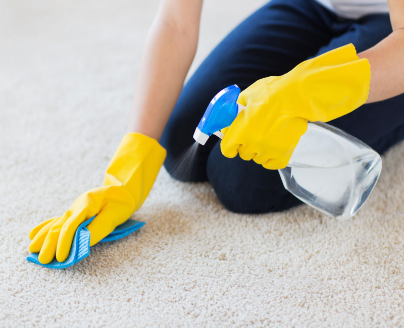 Reasons why pet owners need to hire professional cleaning services