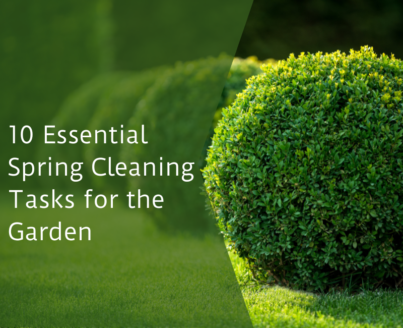 10 Essential Spring Cleaning Tasks for the Garden