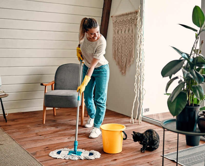 Best Home Cleaning Products for Dust
